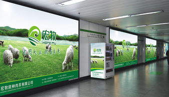 深耕绿色沃土，铸就品牌丰碑——农产品企业的形象设计与策划之道